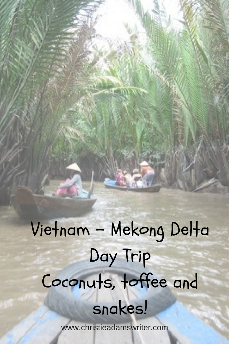 Pinterest - Vietnam Mekong Delta