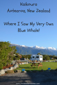 Kaikoura, Aotearoa, New ZealandWhere I Saw My Very Own Blue Whale!
