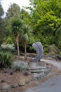 New Zealand Palm tree