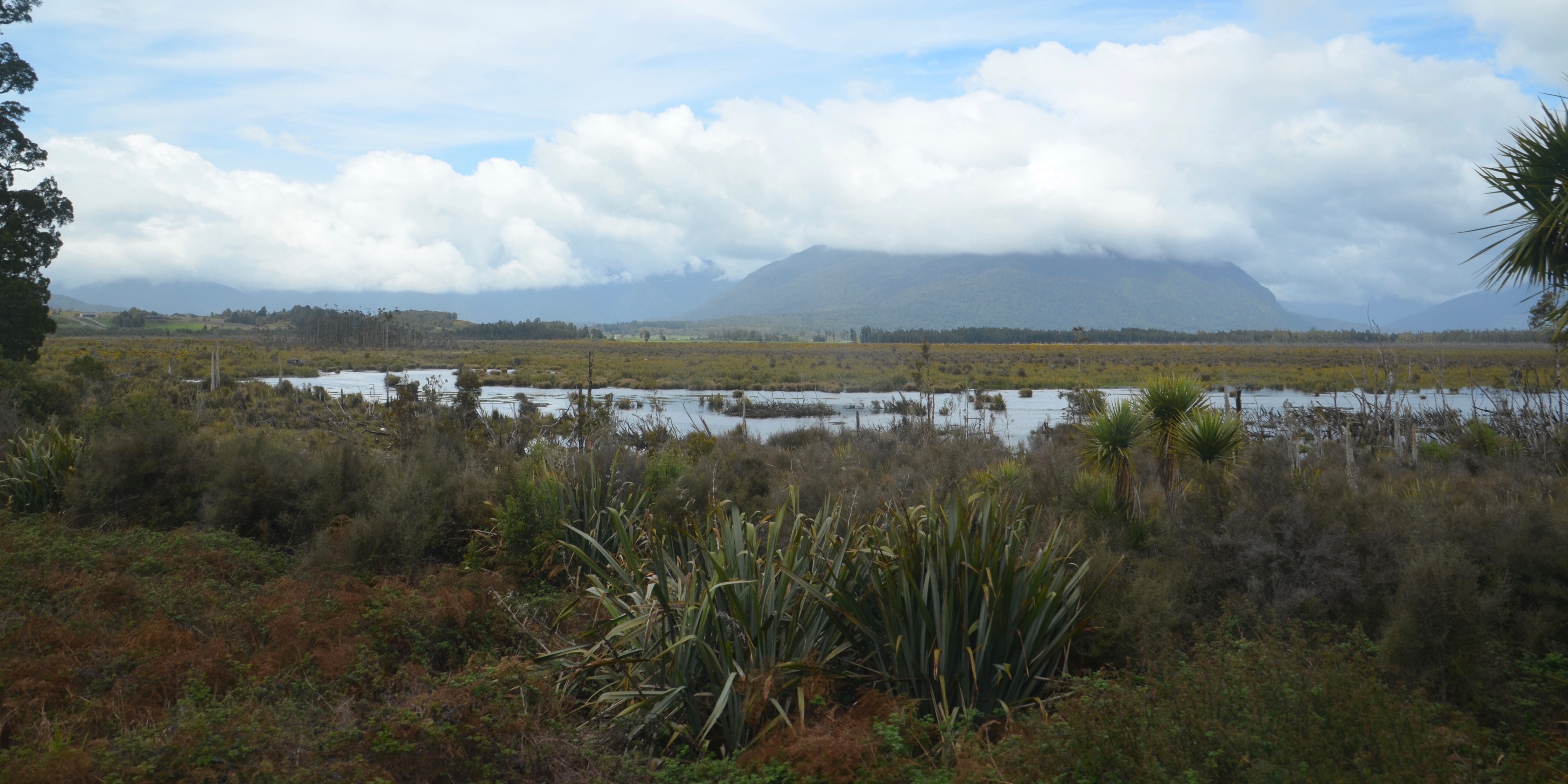 Land of the long white cloud