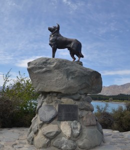 Tekapo dog sculpture