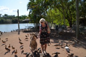 Christie Adams feeding a Kangaroo amongst birds