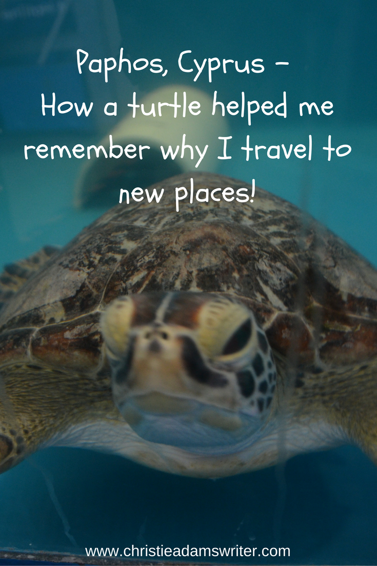 Paphos, Cyprus - How a turtle helped me remember why I travel to new places!