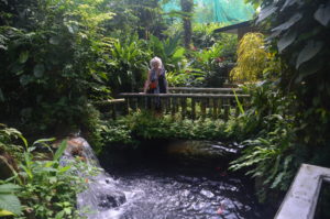 CAW KL Butterfly park