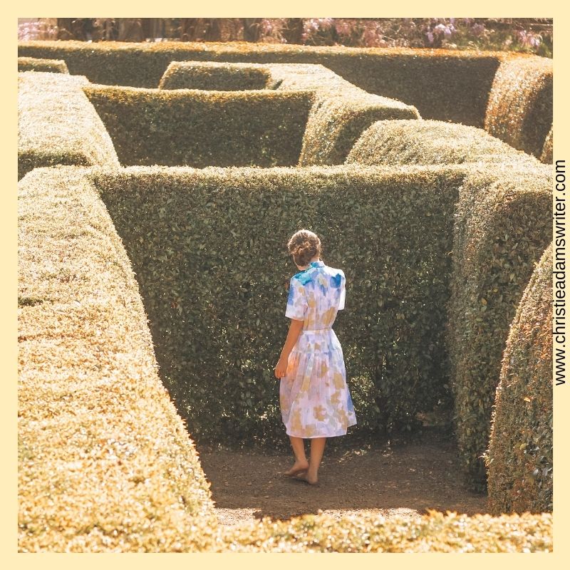 Midlife Negotiation Blog Post