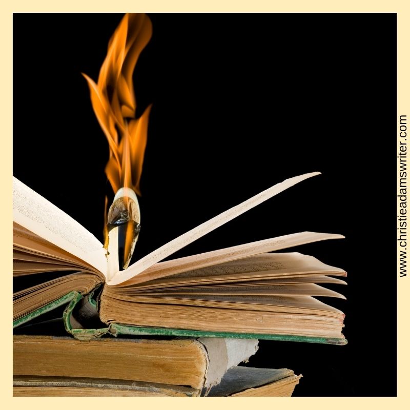 Abortion Rights to Assassinations. Can They All Be Blamed on a Book Blog Post